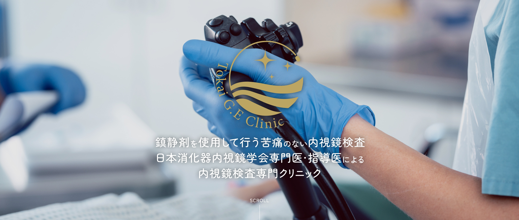 鎮静剤を使用して行う苦痛のない内視鏡検査 日本消化器内視鏡学会専門医・指導医による 内視鏡検査専門クリニック